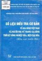 Số liệu điều tra cơ bản về gia đình Việt Nam và người phụ nữ trong gia đình thời kỳ công nghiệp hoá, hiện đại hoá (Khu vực miền Bắc)